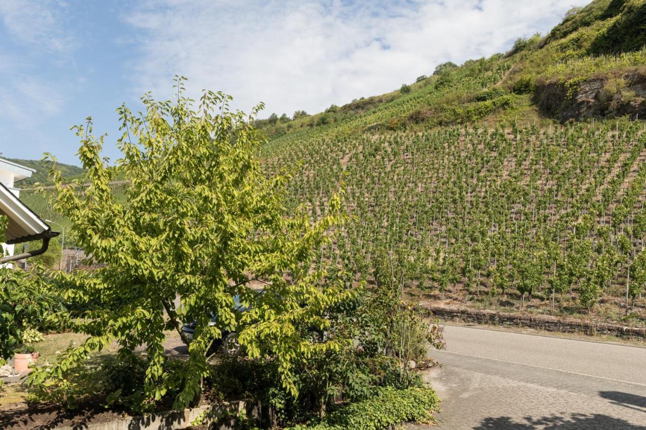 Hotel garni Café im Hamm Zell an der Mosel Exteriör bild
