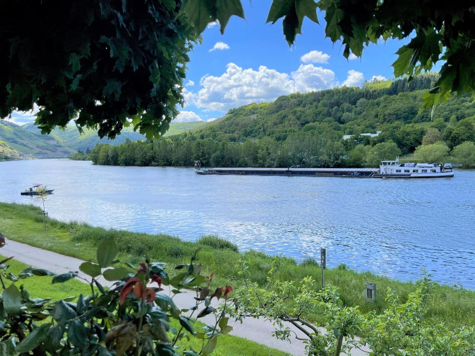 Hotel garni Café im Hamm Zell an der Mosel Rum bild